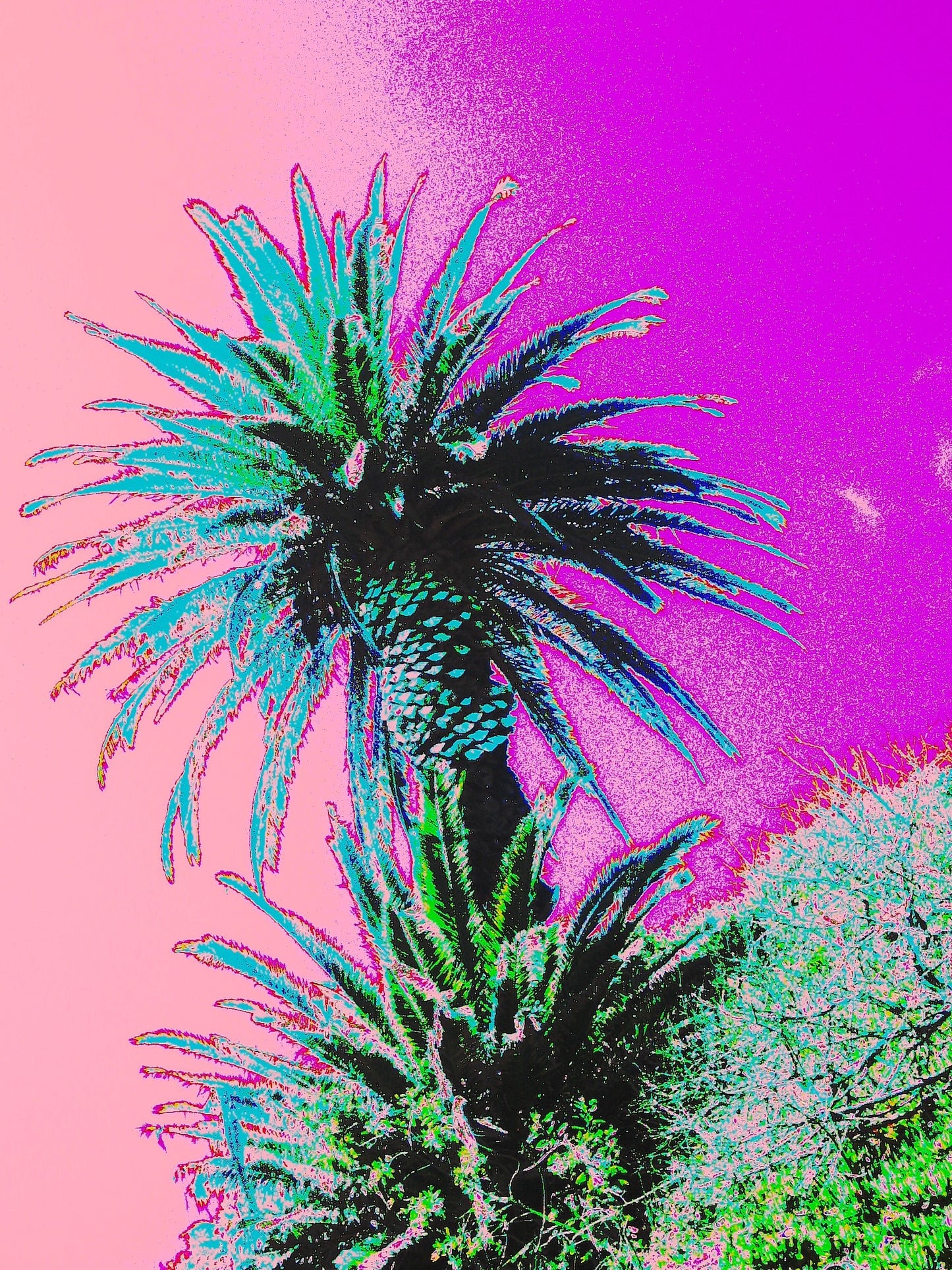 GWX Flux Dream - 4MP Circuit-bent Digicam