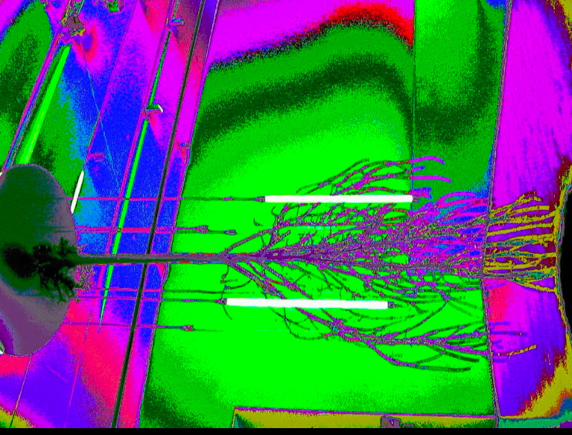GWX Dataline (+/-) 2MP Circuit-Bent Digicam