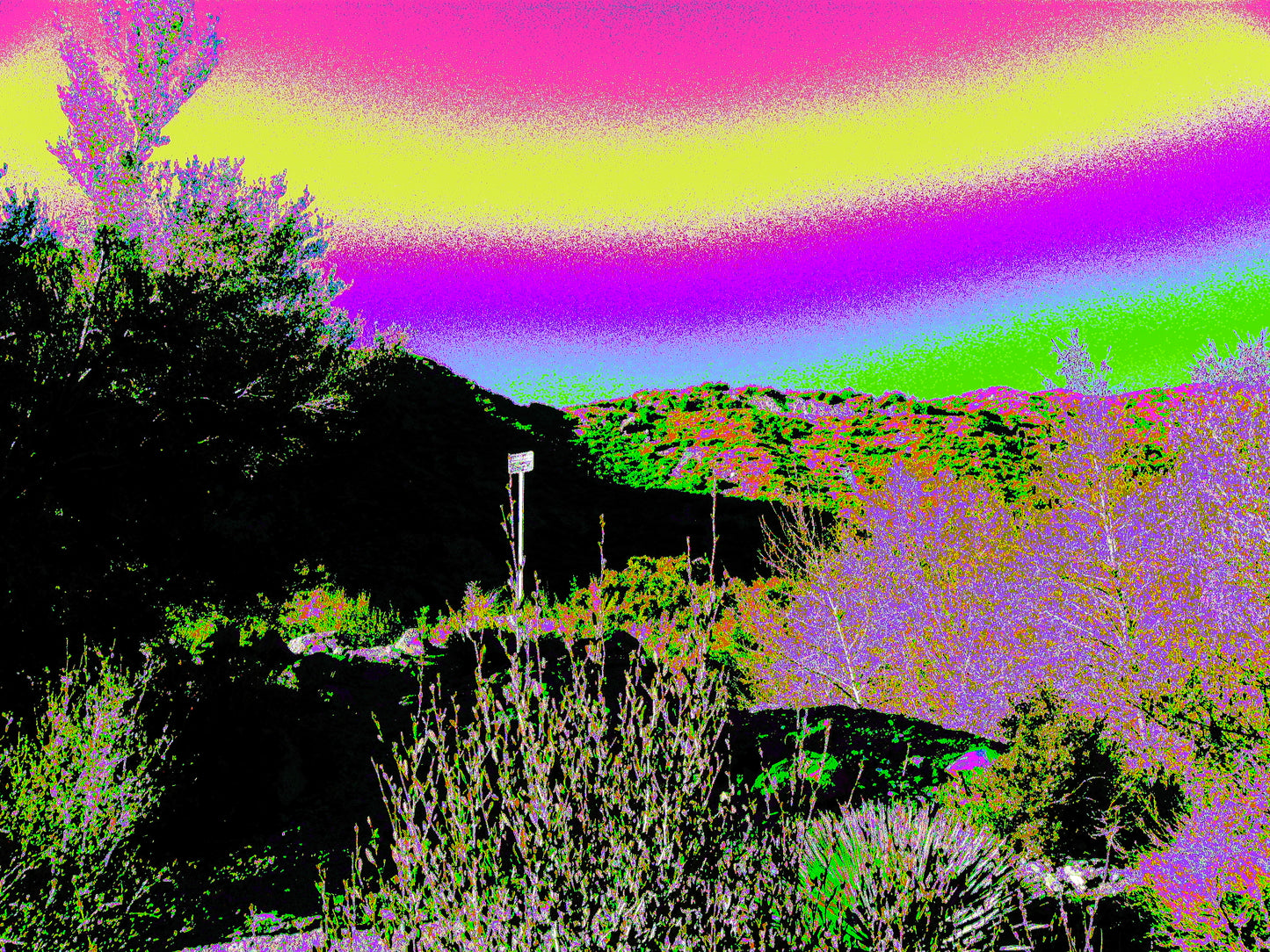 GWX Sungazer - 8 MP Circuit-bent Digicam (January Pre-Order)