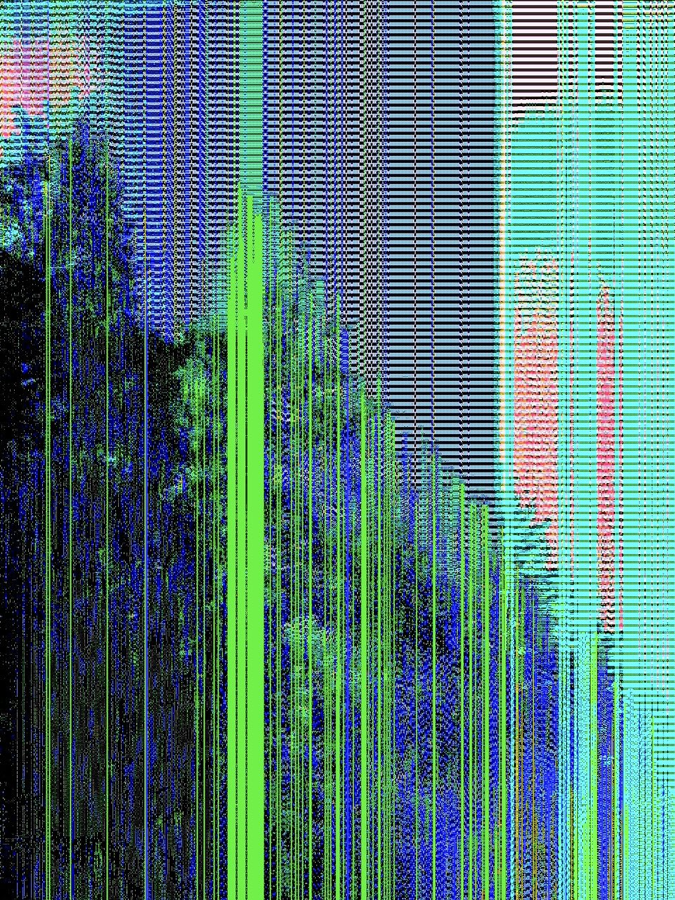 Data Corruption 📸
