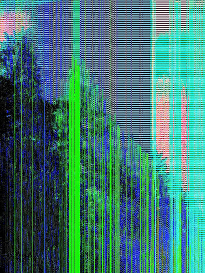 Data Corruption 📸