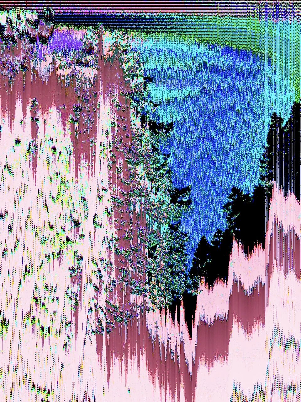 Data Corruption 📸