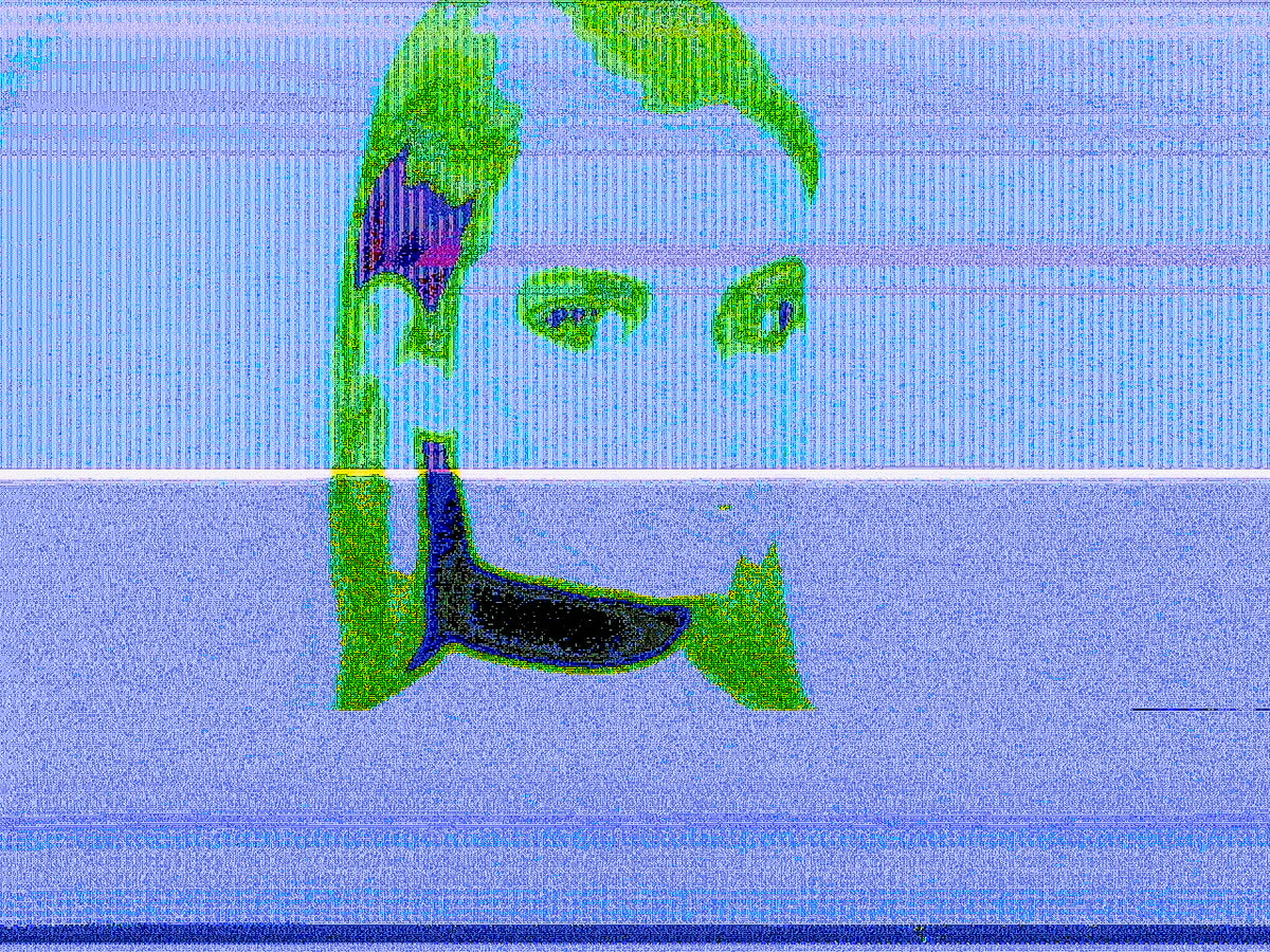 Data Corruption 📸