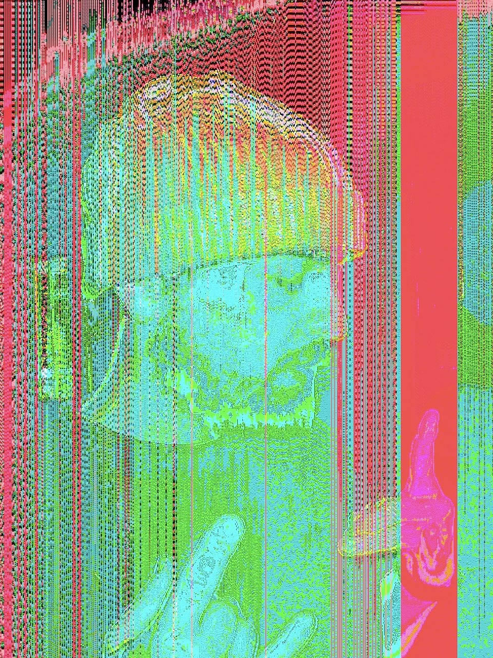 Data Corruption 📸