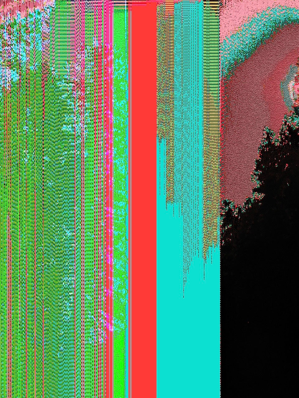 Data Corruption 📸