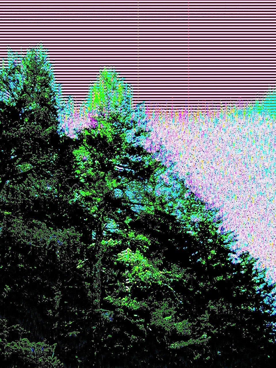 Data Corruption 📸