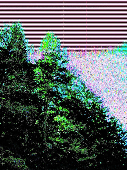 Data Corruption 📸